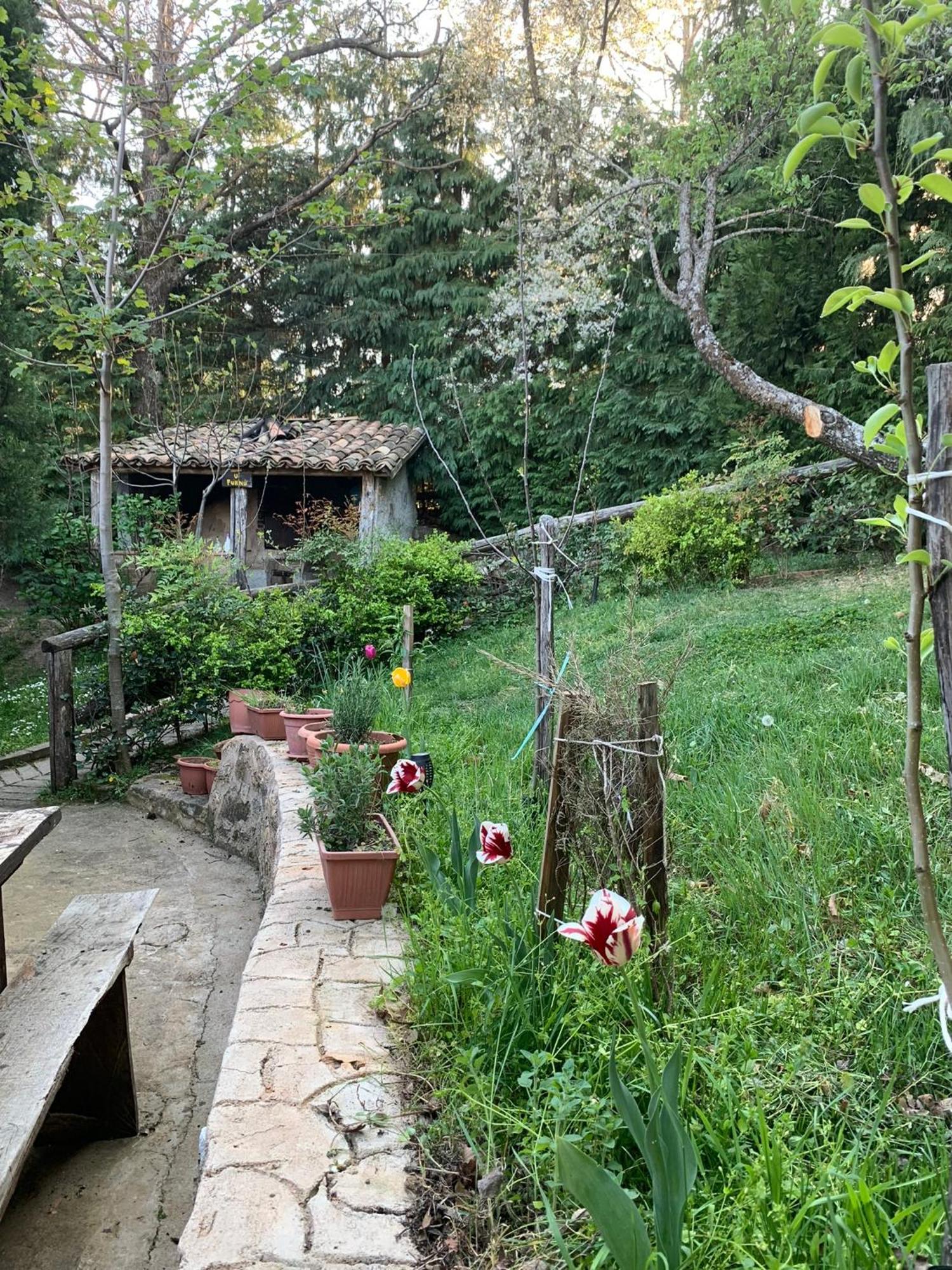 Agriturismo Carrozzino Sersale 外观 照片