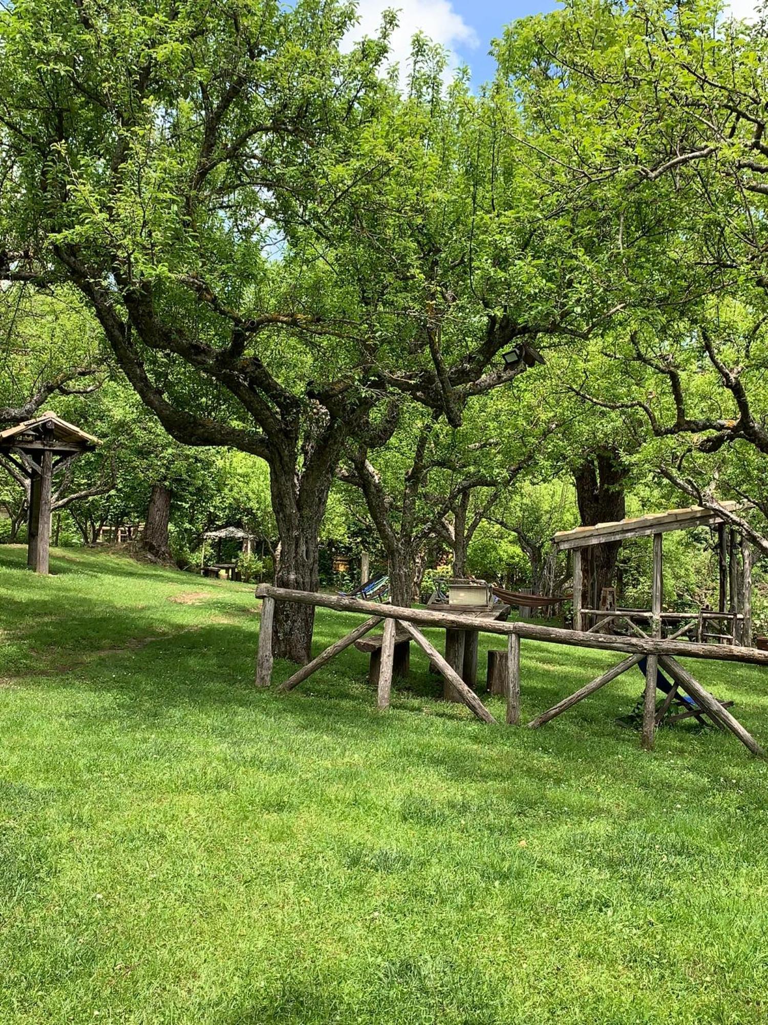 Agriturismo Carrozzino Sersale 外观 照片