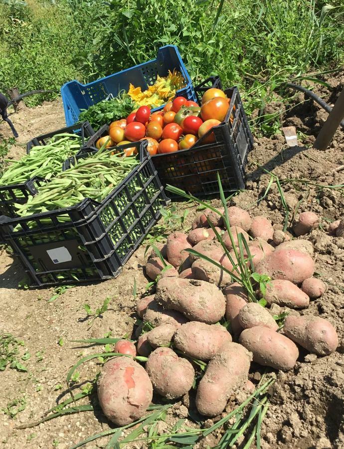 Agriturismo Carrozzino Sersale 外观 照片