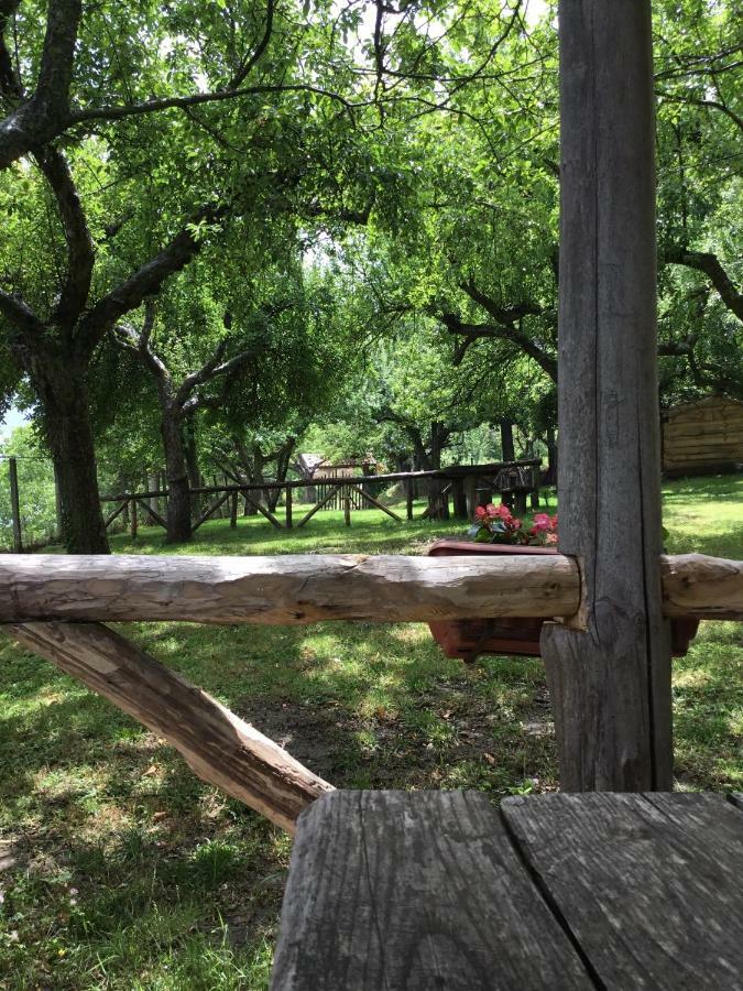 Agriturismo Carrozzino Sersale 外观 照片